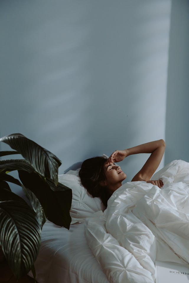 Welmarentia calm path